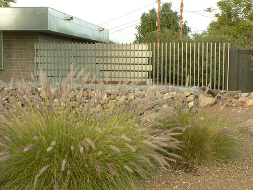 Home in Paradise Gardens, Phoenix, 2009