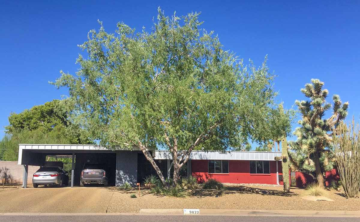 Cholla model home by Al Beadle in Paradise Gardens, Phoenix Arizona, 2016