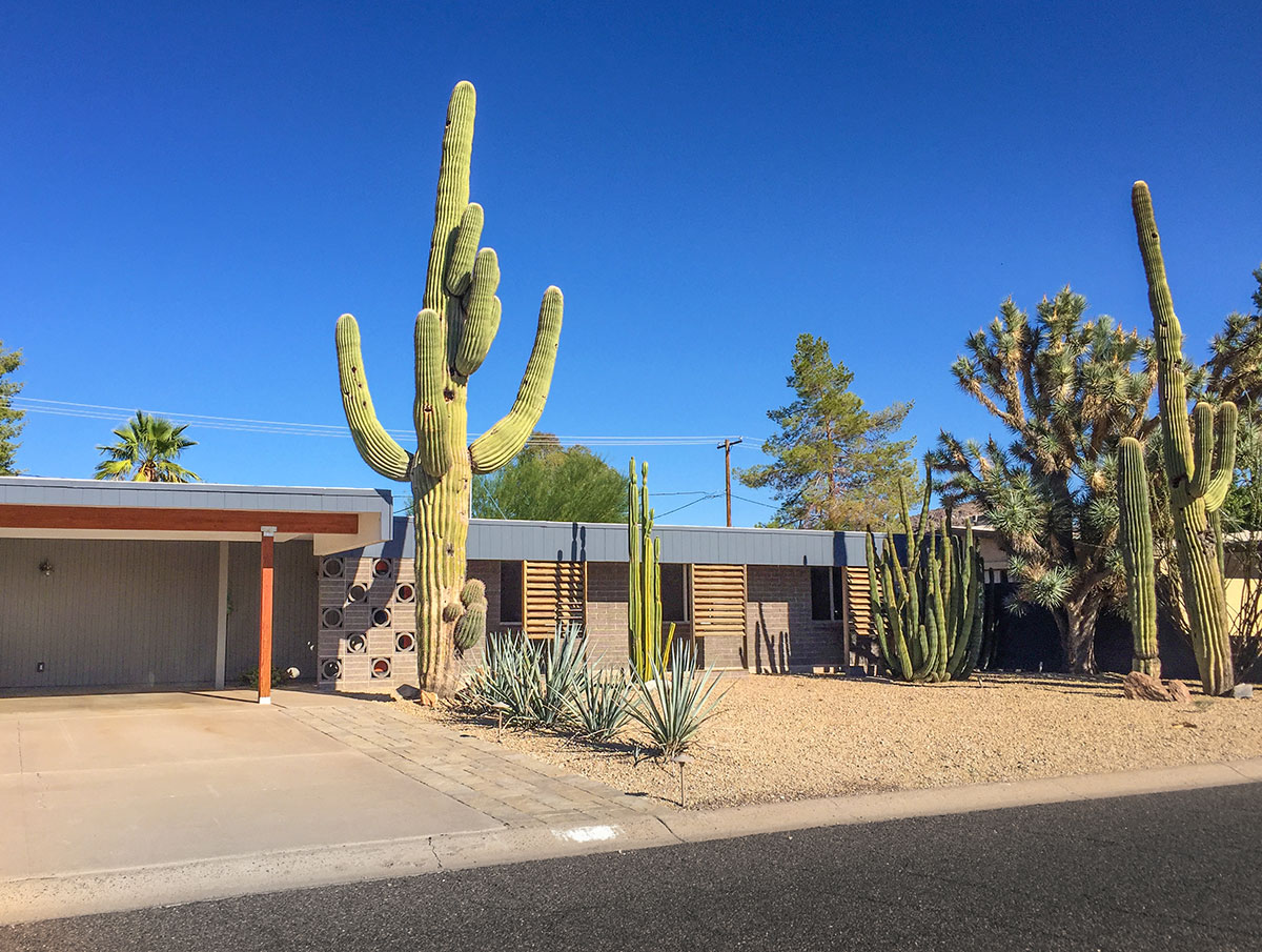 Palo Verde model home by Al Beadle in Paradise Gardens, Phoenix Arizona, 2016