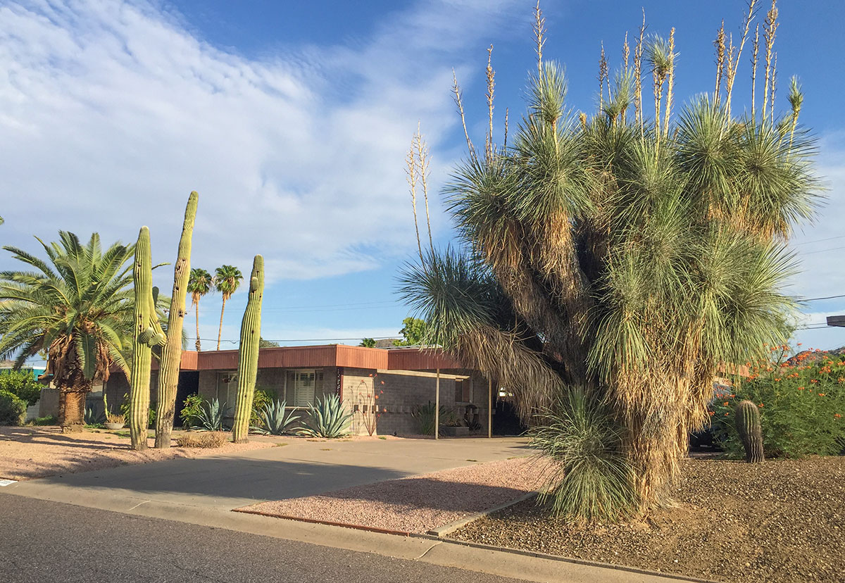 Saguaro model home by Al Beadle in Paradise Gardens, Phoenix Arizona, 2016