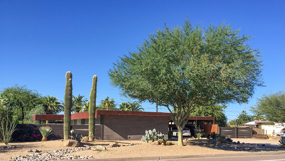 Saguaro model home by Al Beadle in Paradise Gardens, Phoenix Arizona, 2016