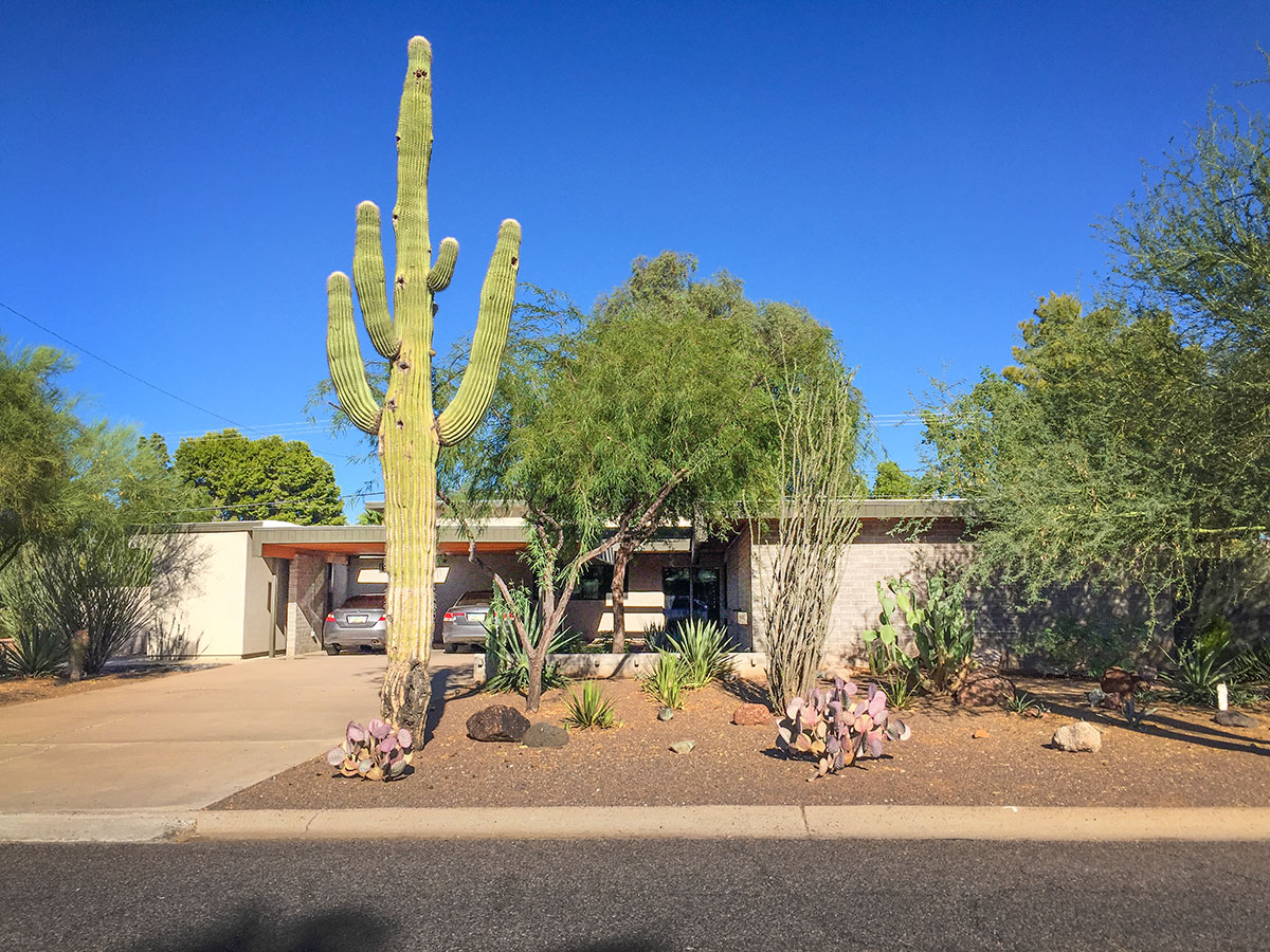 Saguaro model home by Al Beadle in Paradise Gardens, Phoenix Arizona, 2016