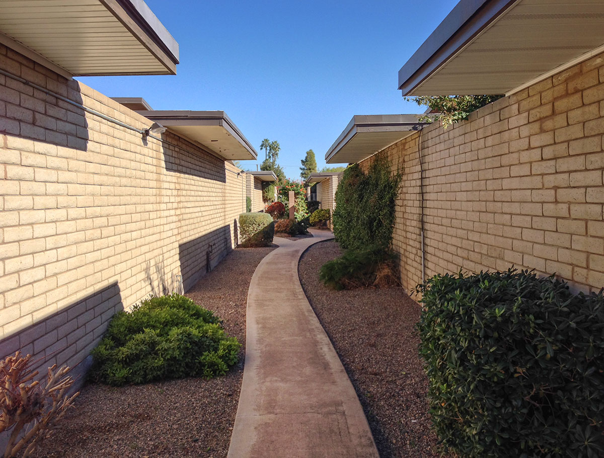 Mockingbird East by Eugene Buchli in Phoenix Arizona