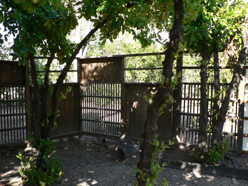 Modern wooden fences in Phoenix Arizona