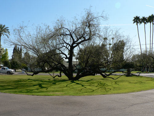 Fred Guirey Residence in Phoenix Arizona