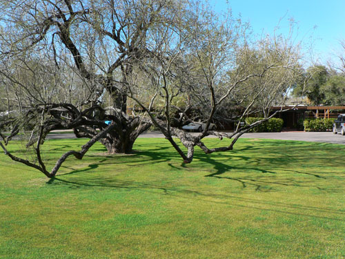 Fred Guirey Residence in Phoenix Arizona