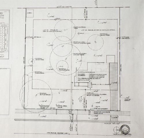 Landscape of the Ralph Haver home at 4624