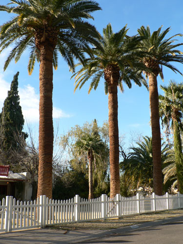 Ralph Haver home in the Canal North neighborhood