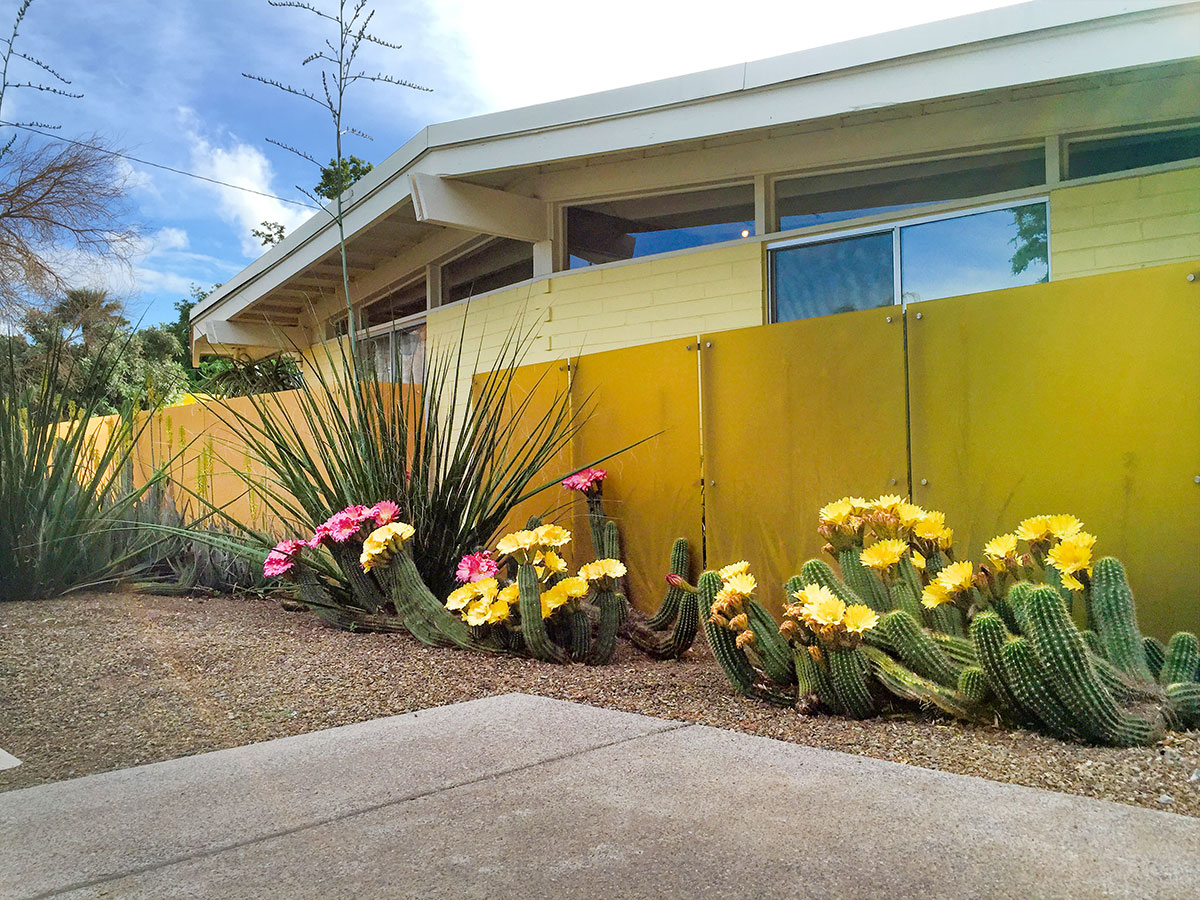 Houses in the Marlen Grove neighborhood designed by Ralph Haver