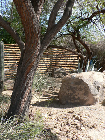 Marlen Grove homes designed by Ralph Haver