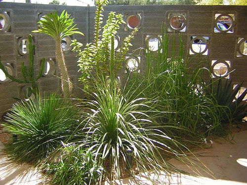 The Jones-Glotfelty Residence on the Modern Phoenix Home Tour 2006