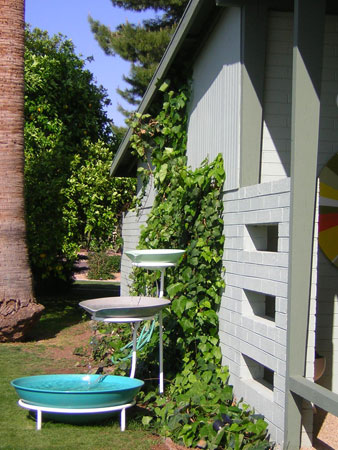 The Cobb + Kelly Residence on the Modern Phoenix Home Tour 2008