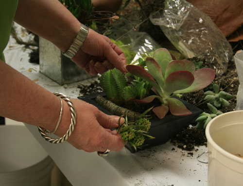 The Greenroom during Modern Phoenix Week 2008