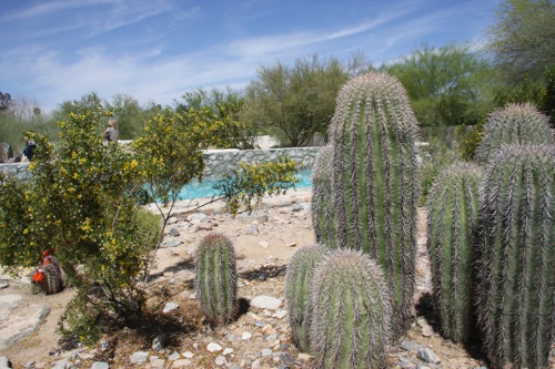 The Desert House on the Modern Phoenix Hometour 2010