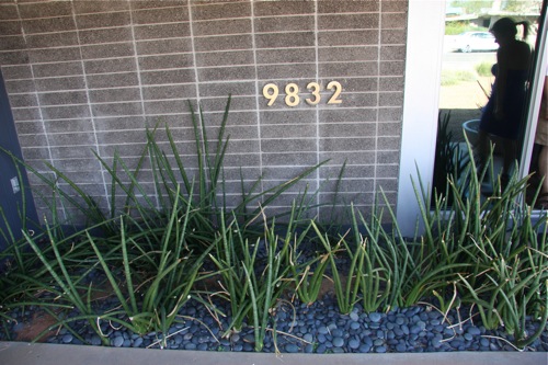 The Koepnick Residence on the Modern Phoenix Hometour 2010