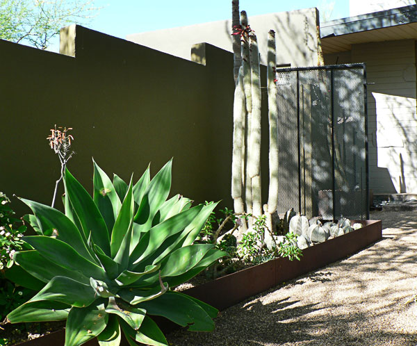 The Buck Residence on the Modern Phoenix Hometour 2011