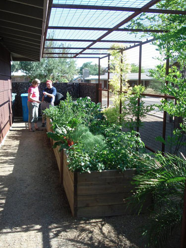 The Fitzpatrick and Schab Residence on the Modern Phoenix Week 2011