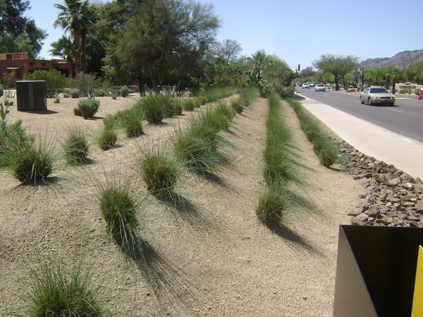 The Admiral Holcomb House on the Modern Phoenix Hometour 2012