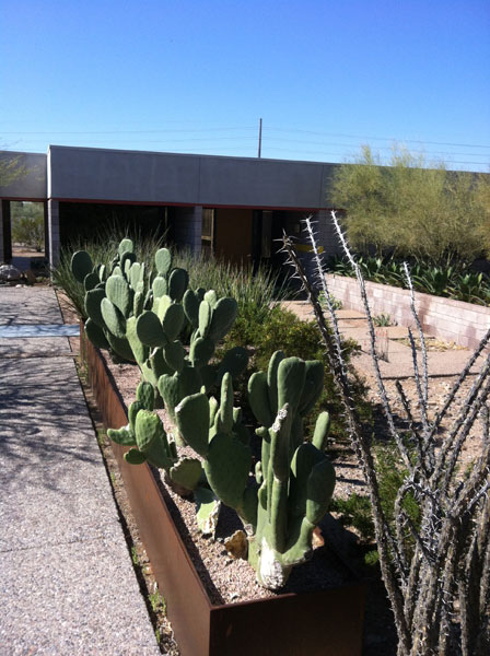 The Martin Residence on the Modern Phoenix Hometour 2012