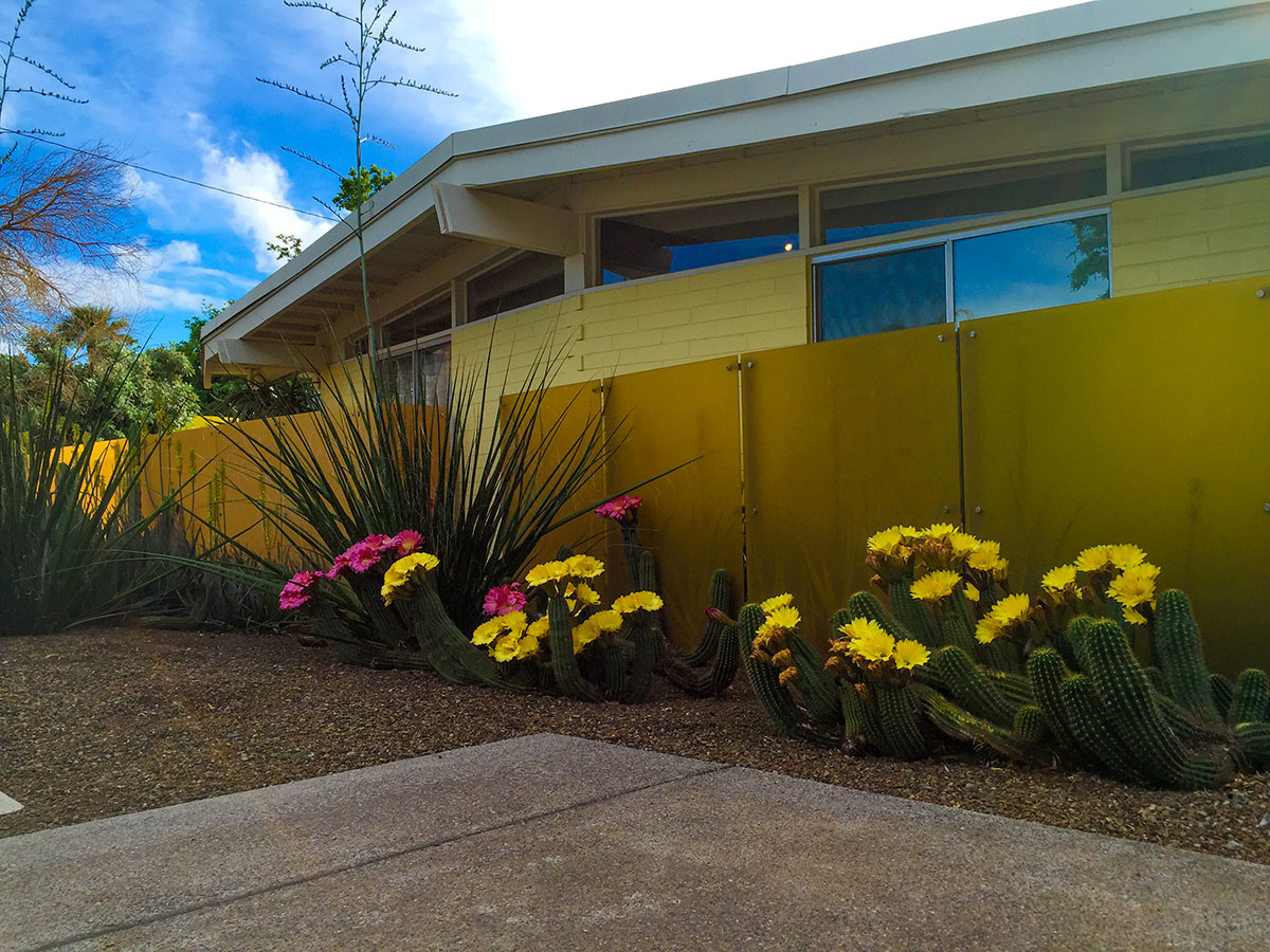 The Flagship in Marlen Grove  on the 2016 Modern Phoenix Home Tour