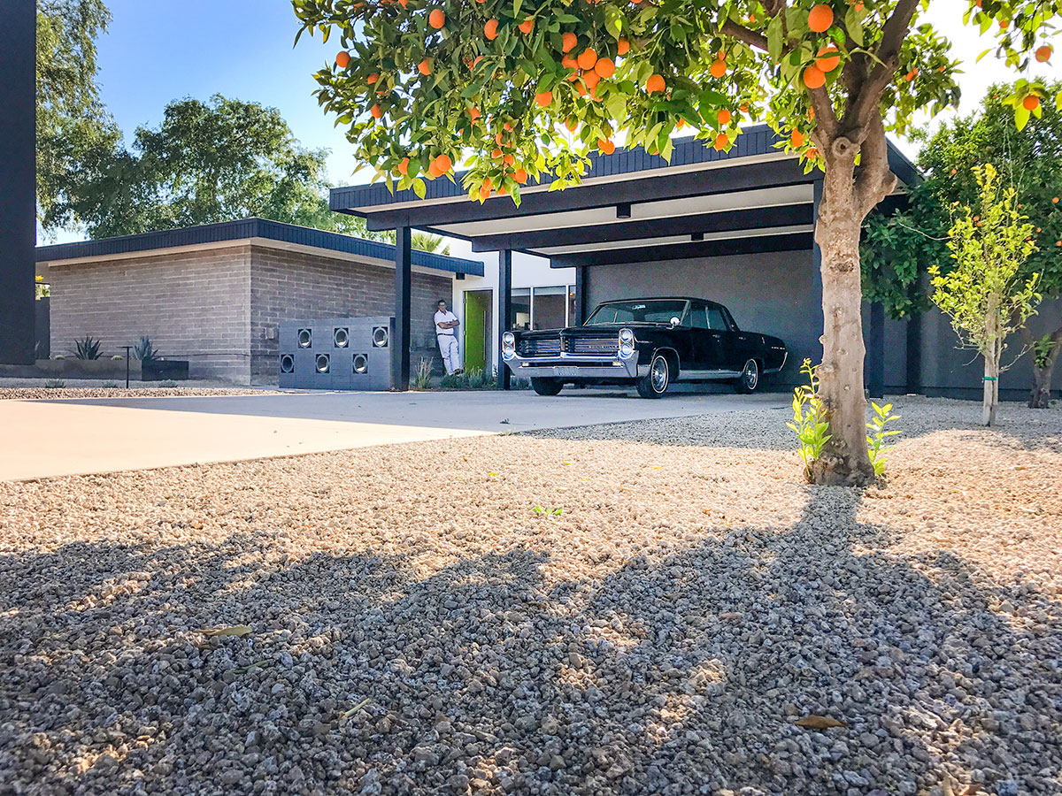 The Beadle Buddy  on the Modern Phoenix Home Tour 2017