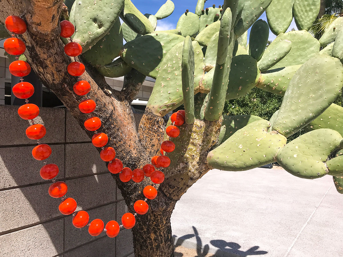 The Beck Residence on the Modern Phoenix Home Tour of Marion Estates in 2018