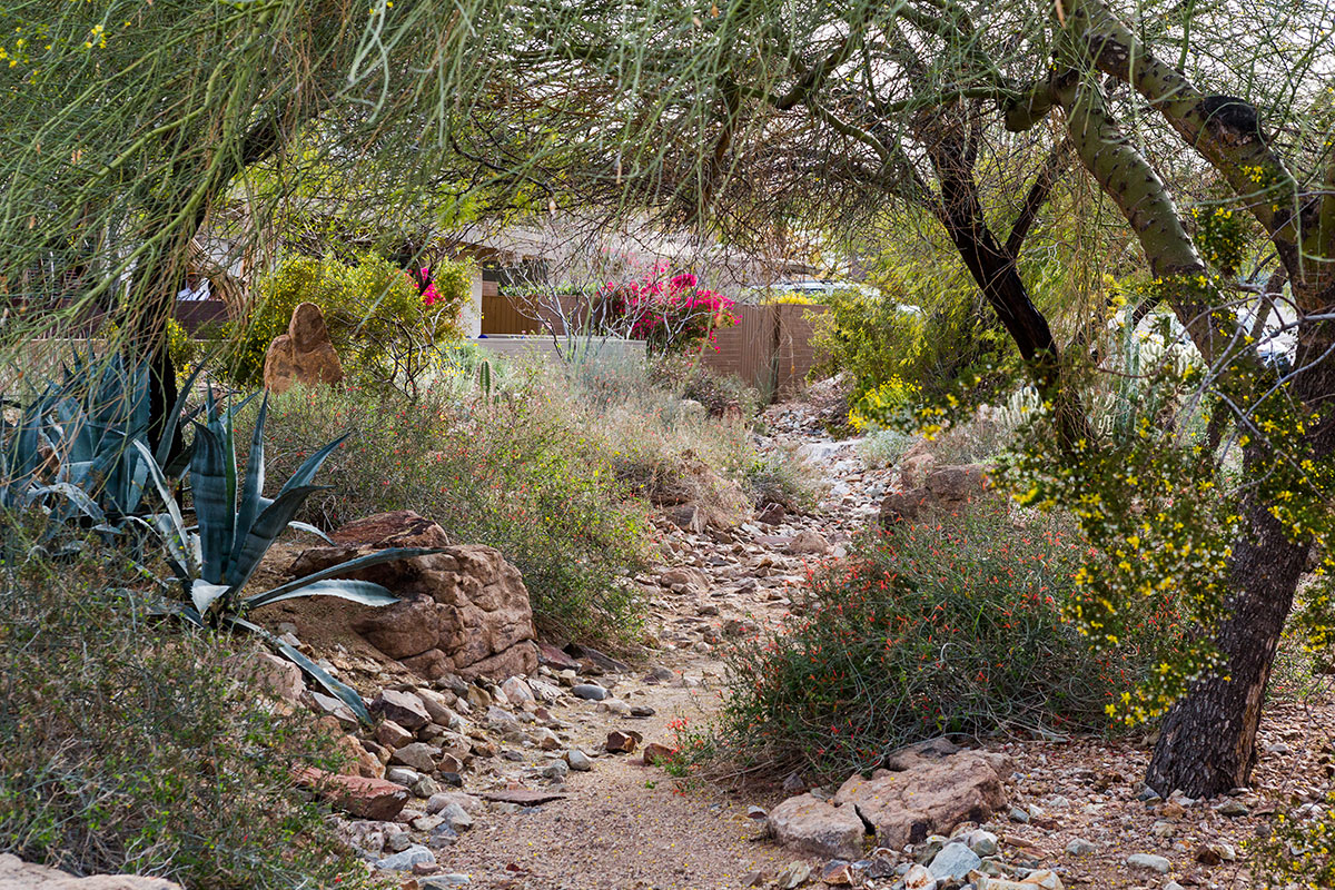 Mucha Casa on the Modern Phoenix Home Tour 2018 in Marion Estates