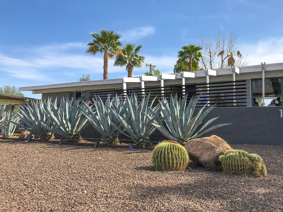 The Lorna House on the 2019 Modern Phoenix Home Tour