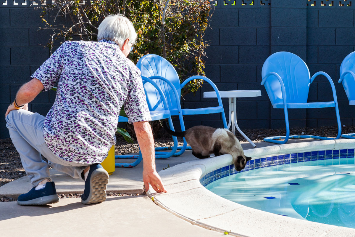 People on the Modern Phoenix Home Tour 2019