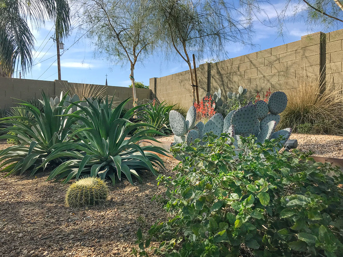 Ruppster Ranch on the 2019 Modern Phoenix Home Tour