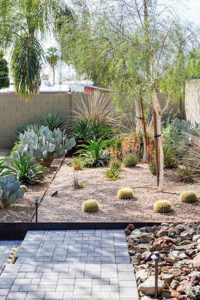 Ruppster Ranch on the 2019 Modern Phoenix Home Tour