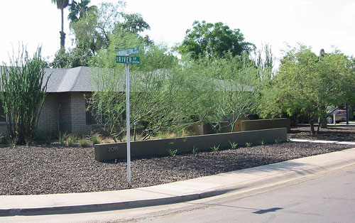 Plan*it Landscaping redesigning a Ranchburger home in Tempe