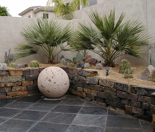 Xerophytic Design's Process in desert landscaping