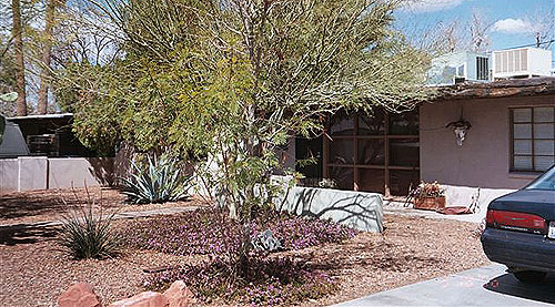 Campus Homes at Roosevelt and 13th in Tempe