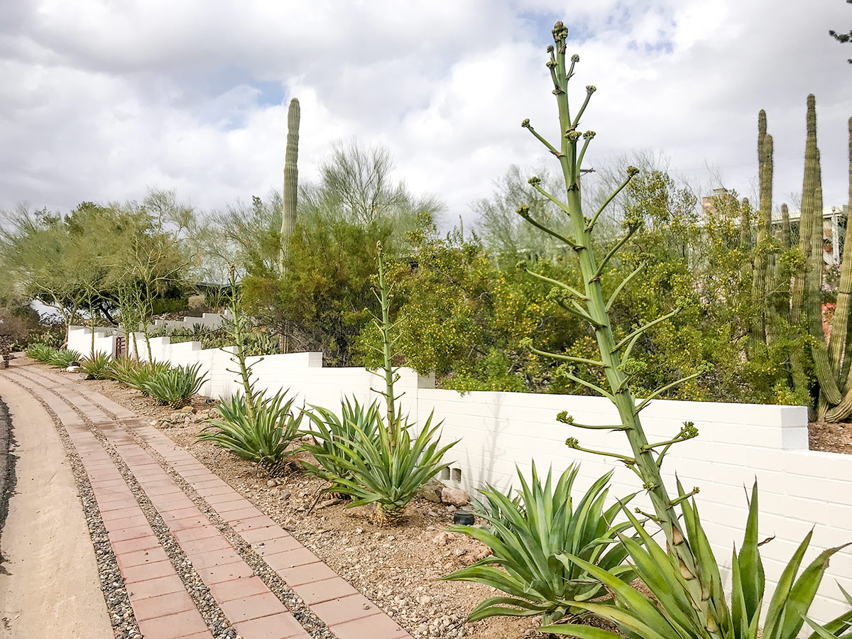 Marion Estates Neighborhood in Phoenix Arizona 2018