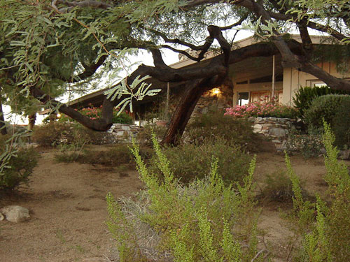 Marion Estates neighborhood by Camelback Mountain designed by Al Beadle, Ralph Haver, and Blaine Drake