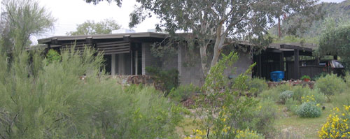 A background on landscaping in the Phoenix desert