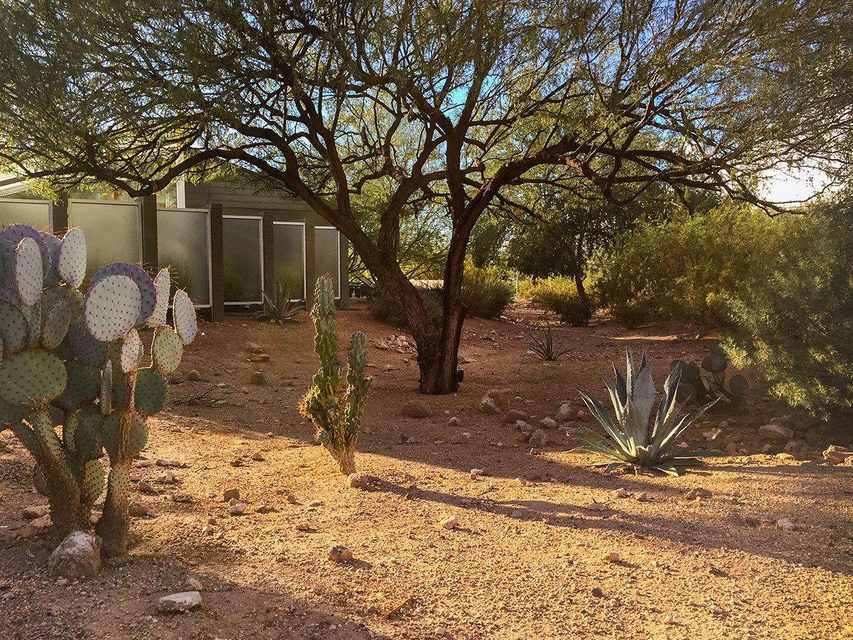 Sherwood Heights Neighborhood in Phoenix