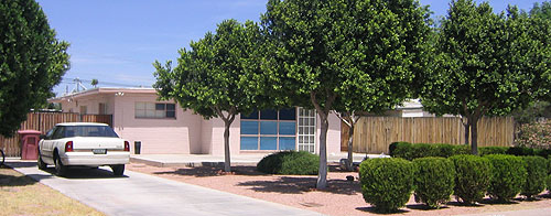 Park McDowell and Cox Hills neighborhood in Phoenix