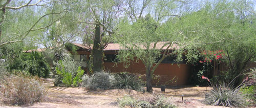 Park McDowell and Cox Hills neighborhood in Phoenix