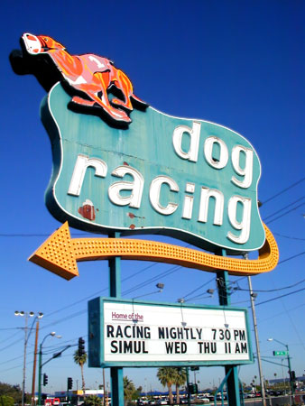 Neon Googie Signage in Phoenix Arizona