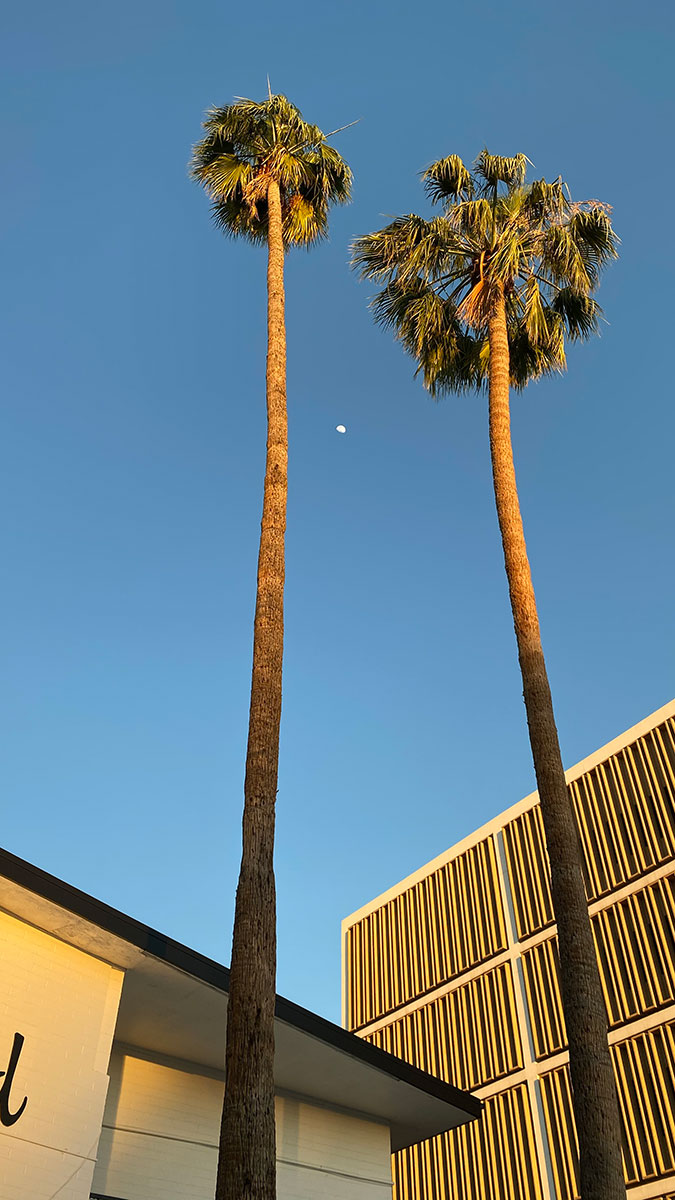 Shorewood Apartments in Midtown Phoenix